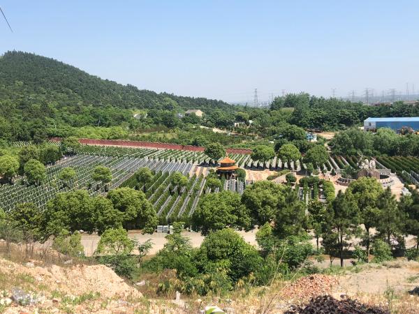 ����Ĺ���ϰ岩����￪�Ƶ� ������������Ϳ�ȸ 